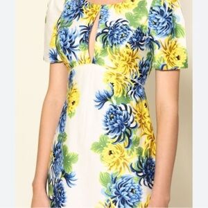 Farm floral dress